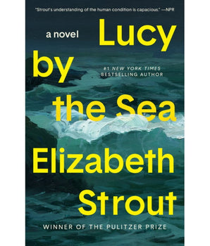 Lucy by the Sea; a Novel