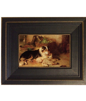 Motherless Lamb Cuddled with Collie Dog Framed Print