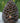 Pinecone Large Votive Holder Cast Iron