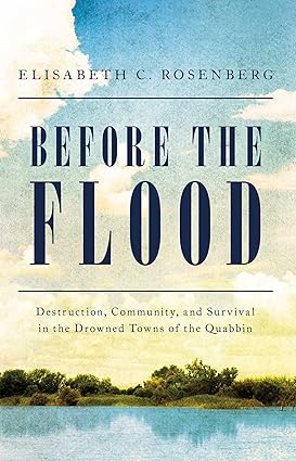 Book cover of 'Before the Flood' by Elisabeth C. Rosenberg with a scenic background.
