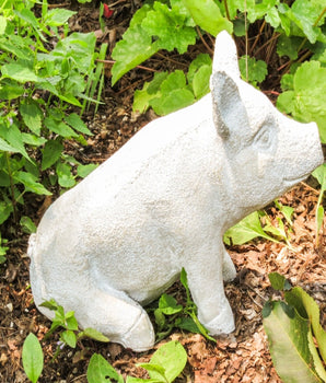 Barnyard Pig Sitting Statuary