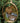 Old Sturbridge Village Ornament: Allen Piggery