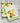 Two kitchen towels with vegetable patterns on a wooden surface