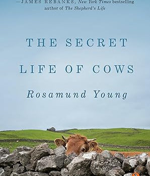 Book cover of 'The Secret Life of Cows' by Rosamund Young with a cow on a stone wall and green field.