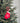 Red mitten ornament with a snowflake design on a Christmas tree.