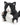 Plush toy cat with black and white fur on a white background