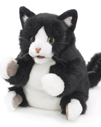 Plush toy cat with black and white fur on a white background