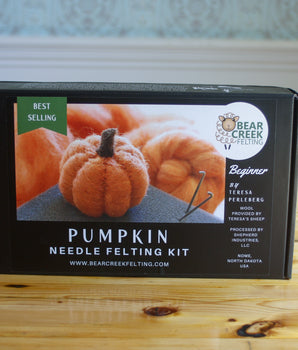 Wool Needle Felt Pumpkins Craft Kit Beginner